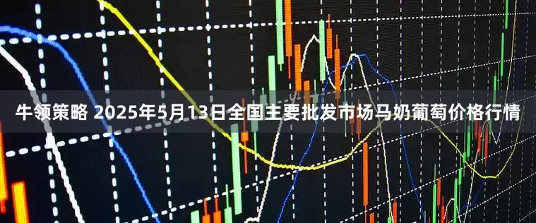 牛领策略 2025年5月13日全国主要批发市场马奶葡萄价格行情