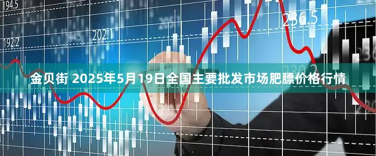 金贝街 2025年5月19日全国主要批发市场肥膘价格行情
