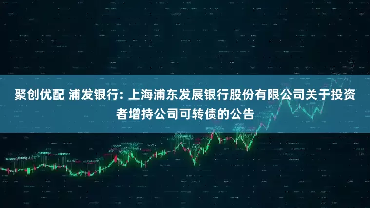 聚创优配 浦发银行: 上海浦东发展银行股份有限公司关于投资者增持公司可转债的公告