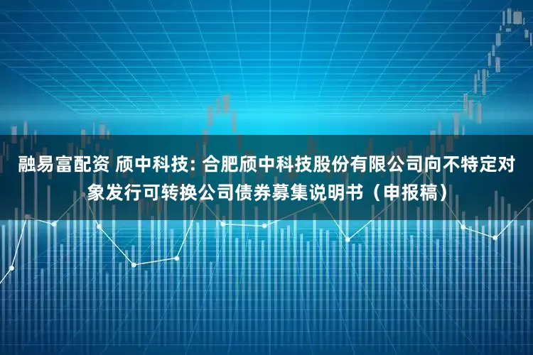 融易富配资 颀中科技: 合肥颀中科技股份有限公司向不特定对象发行可转换公司债券募集说明书（申报稿）