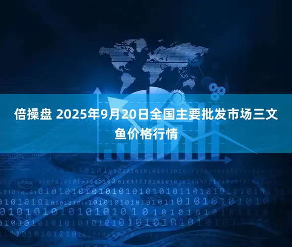 倍操盘 2025年9月20日全国主要批发市场三文鱼价格行情